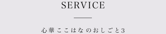 心華 ここはな のおしごと3